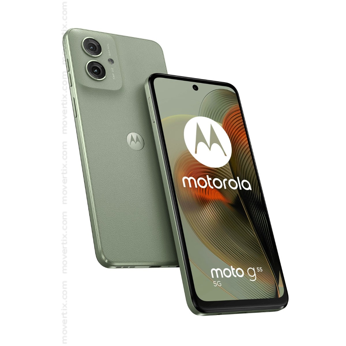 ただのMORUMOTTO　緑色 Ninja ZX-10Rの2025年モデルはカラー＆グラフィックを変更 - WEB